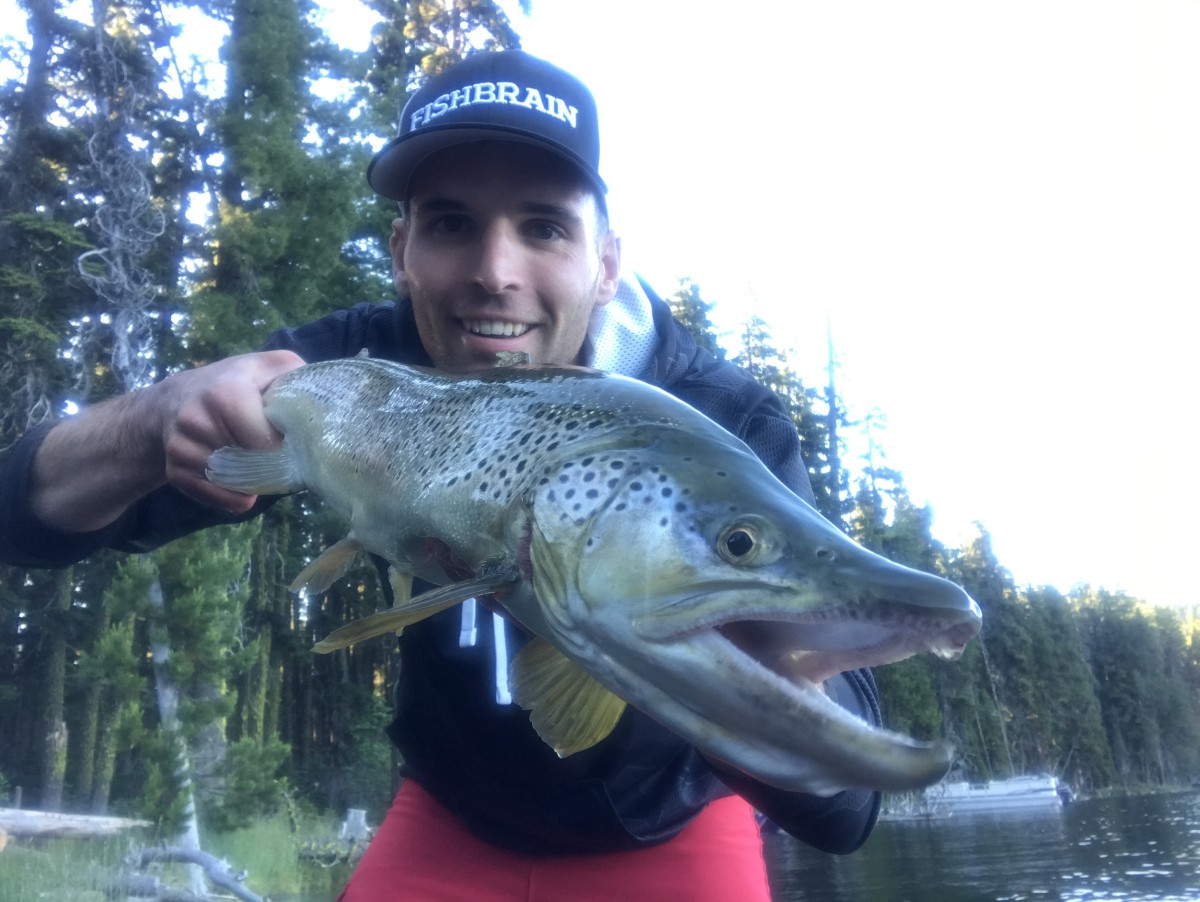 25-Inch Brown Trout