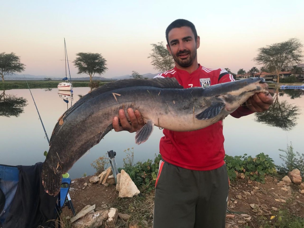 Southafrican catfish Barbel on lake Hartbeespoortdam