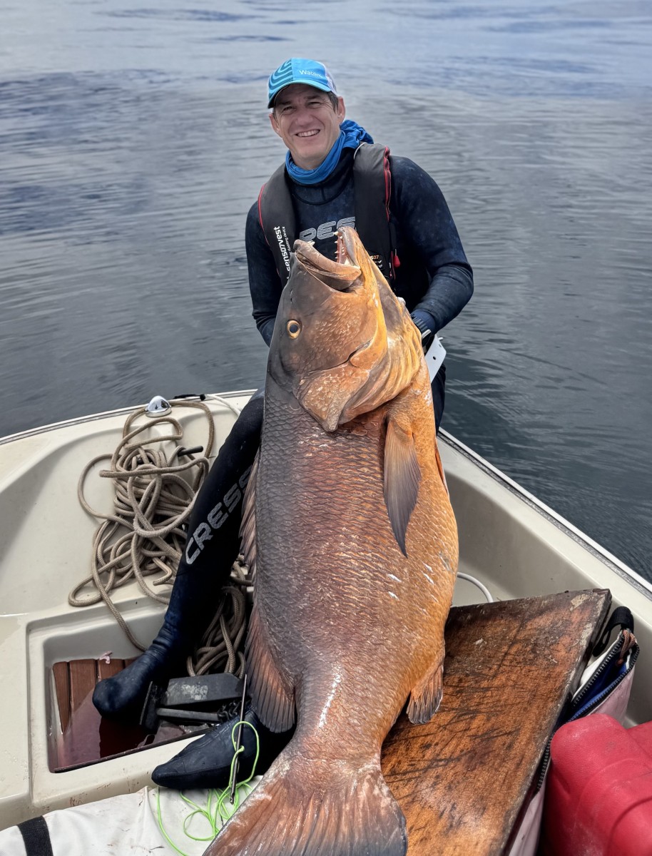 DIver with Fish