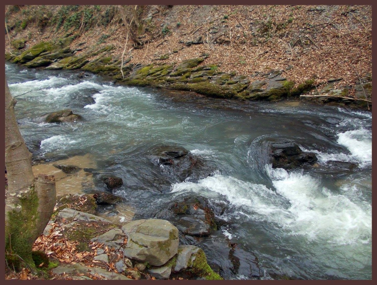 jastrebac river